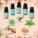 Natural oils Set of 5 Aroma oil 75 ml | diffuser Oil for home Office & Hotel Spa| Genuine oils Mint , Jasmine ,Lemongrass , Vetiver & Cedarwood