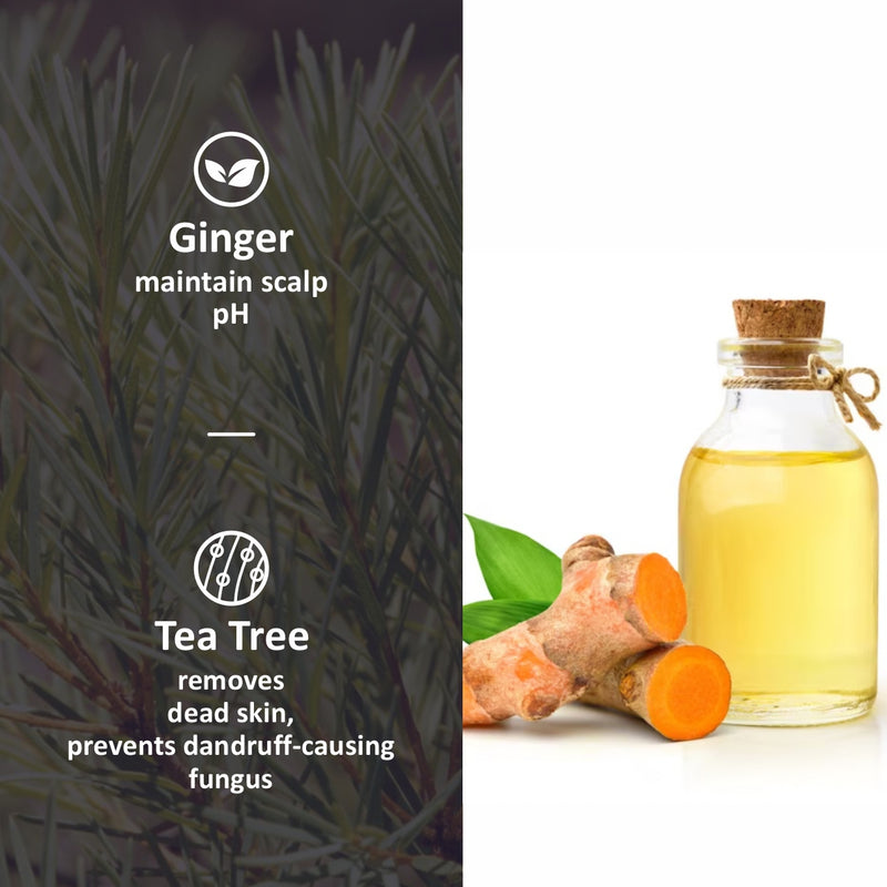 Tea Tree Oil for Hair with Ginger Oil for Dandruff -250ml
