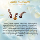 natural car air freshener