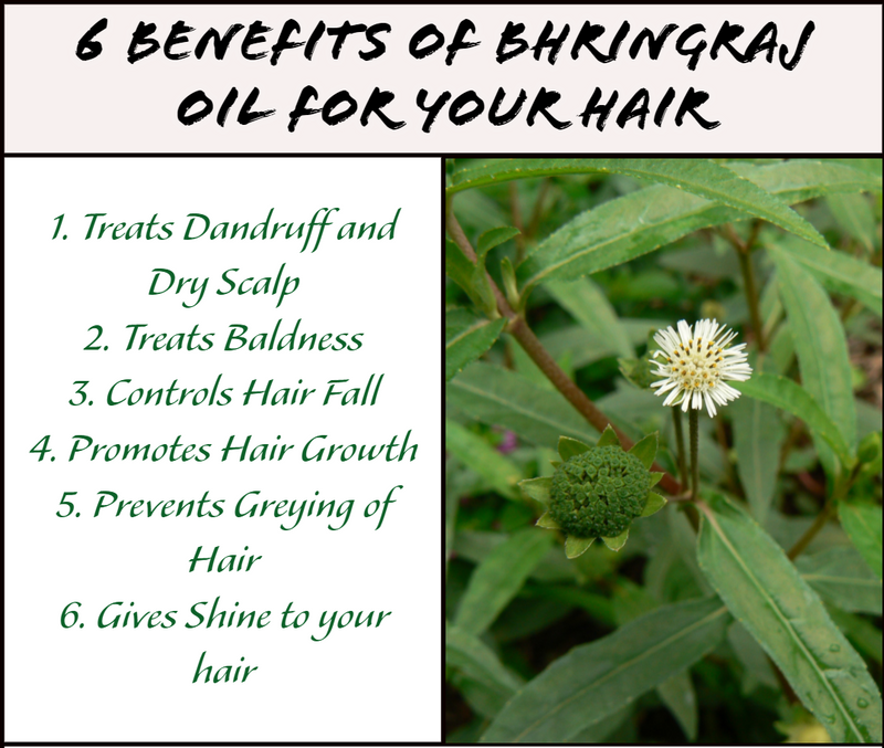 Herbal shampoo with Bringraj SLS-free Natural Bringraj shampoo Best herbal shampoo for hair Organic Bringraj hair care